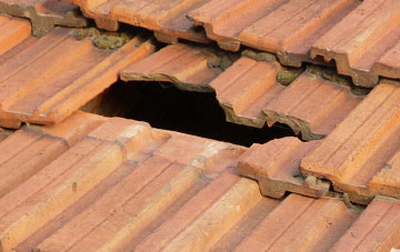 roof repair Low Whinnow, Cumbria