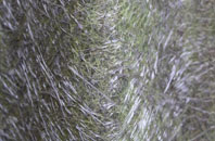 Low Whinnow fibreglass roof work